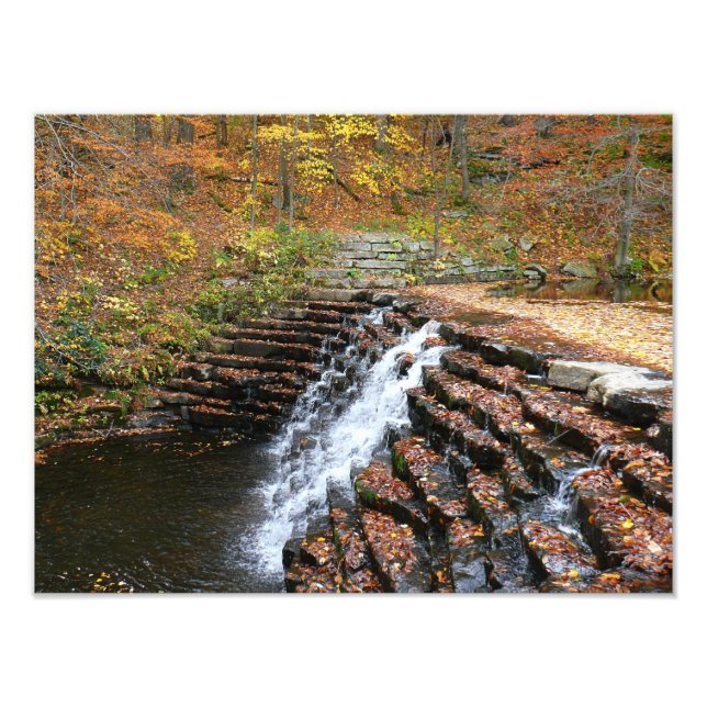 Foto Cascada en Laurel Hill State Park II (Frente)