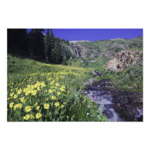 Foto Cascada y flores silvestres en prado alpino, 2