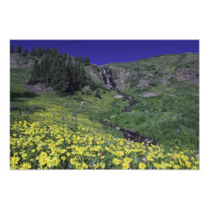 Foto Cascada y flores silvestres en prado alpino, 2