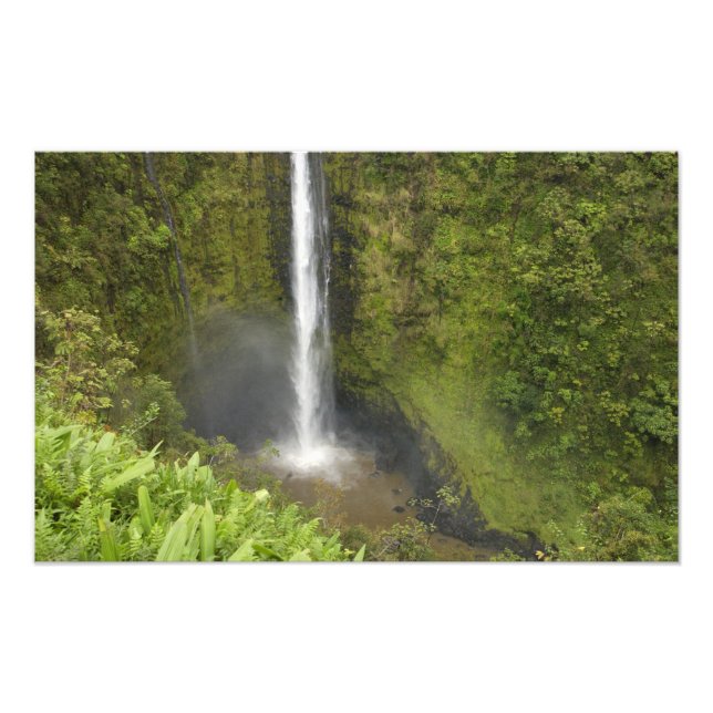 Foto Cascadas de Akaka, Costa de Hamakua, Isla de Hawai (Frente)