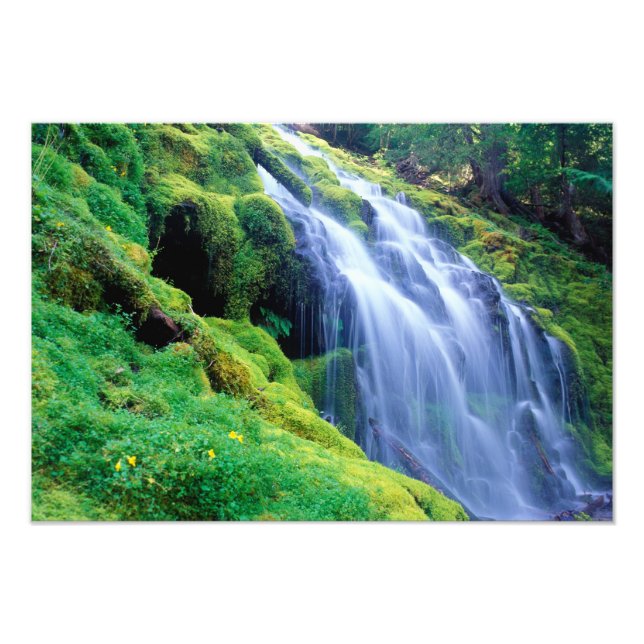 Foto Cascadas Proxy en las Cascadas centrales de Oregon (Frente)