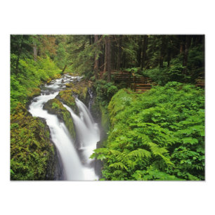 Foto Cascadas Sol Duc en el Parque Nacional Olímpico en