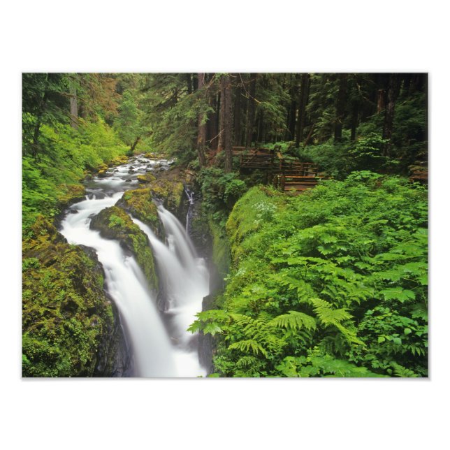 Foto Cascadas Sol Duc en el Parque Nacional Olímpico en (Frente)