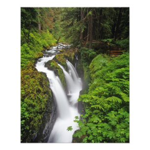 Foto Cascadas Sol Duc en el Parque Nacional Olímpico en