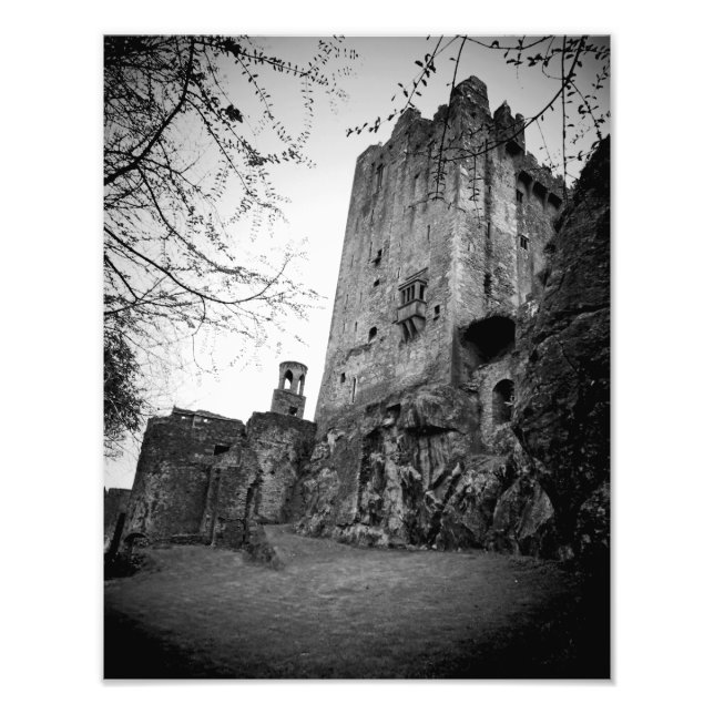 Foto Castillo de Blarney (Frente)
