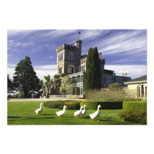 Foto Castillo Larnach, Península de Otago, Dunedin,