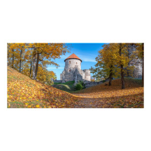 Foto Castillo medieval rodeado de bosques