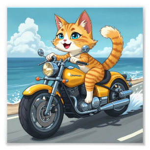 Foto Cat momy