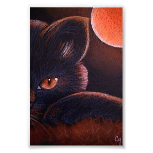 FOTO CAT NEGRO DE HALLOWEEN CON LA LUNA ANARANJADA 4" X