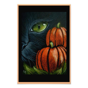 Foto CAT NEGRO de HALLOWEEN con PIMPKINS 4" X 6"
