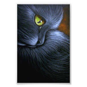 FOTO CAT NEGRO DE LA FANTASÍA DE HALLOWEEN 4" X 6"