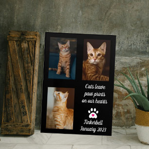 Foto Cats Leave Pawprints   Cat Memorial Photo Collage 