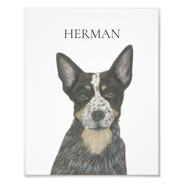 Foto Cattledog Blue Heeler personalizado (Frente)