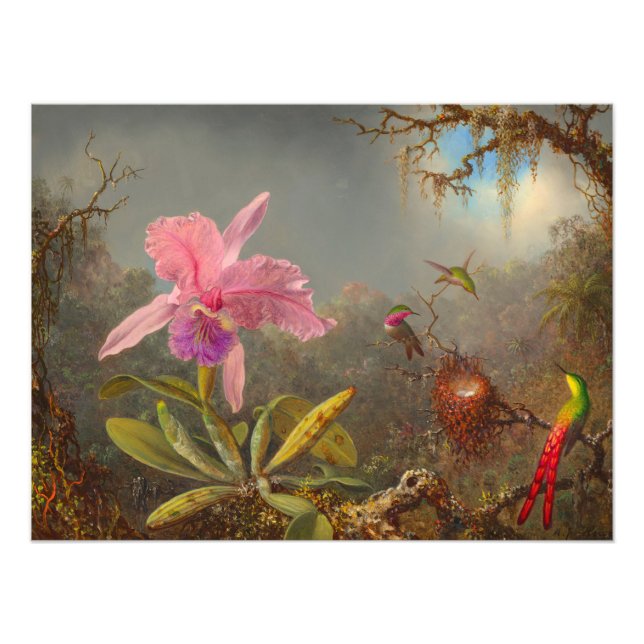 Foto Cattleya Orchid y tres Hummingbirds Heade (Frente)