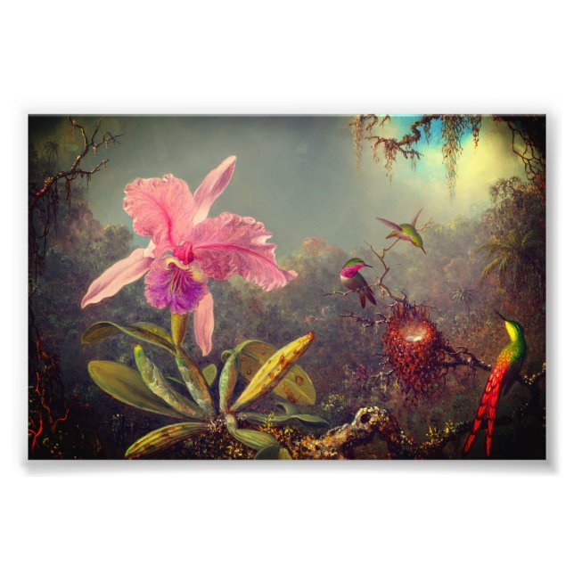 Foto Cattleya Orchid y tres Hummingbirds Heade (Frente)