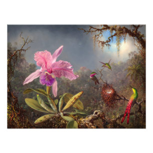 Foto Cattleya Orchid y tres Hummingbirds por Heade