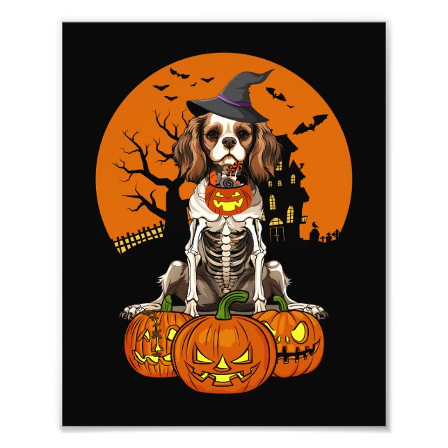 Foto Cavalier Charles Spaniel Dog Halloween (Frente)
