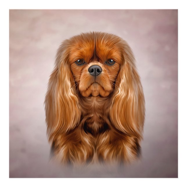Foto Cavalier de perro dibujante King Charles Spaniel (Frente)
