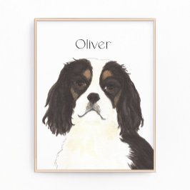 Foto Cavalier Tricolor King Charles Spaniel