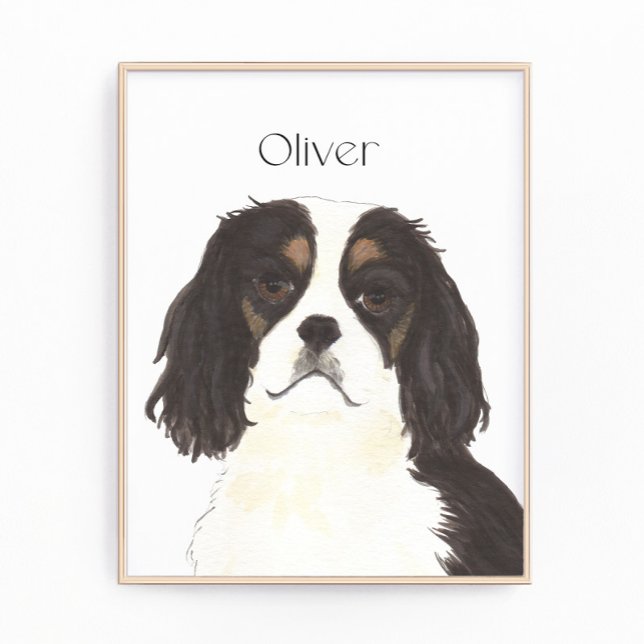 Foto Cavalier Tricolor King Charles Spaniel (Subido por el creador)