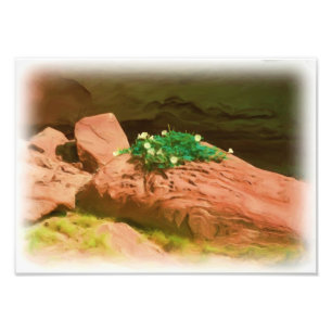 Foto Caverna de la datura