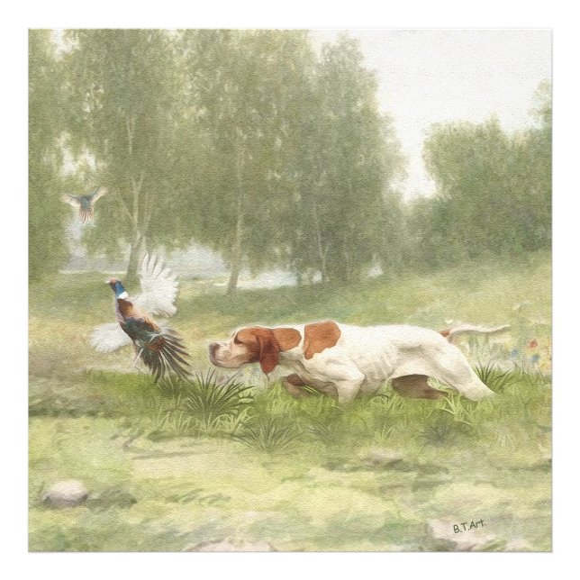 Foto Caza de faisanes con puntero (Frente)