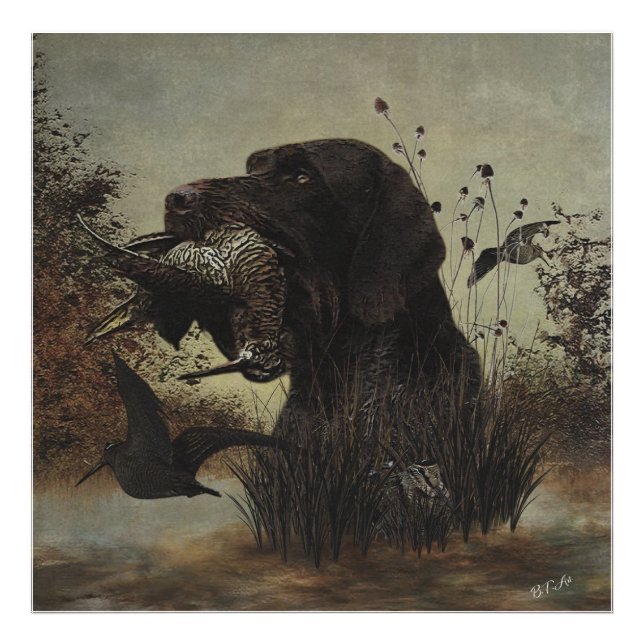 Foto Caza de Woodcock con puntero de hilo alámbrico ale (Frente)