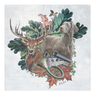 Foto Cazando con un Weimaraner, "Fantasma gris"