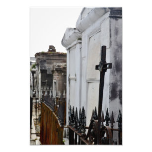 Foto Celebrar la vida