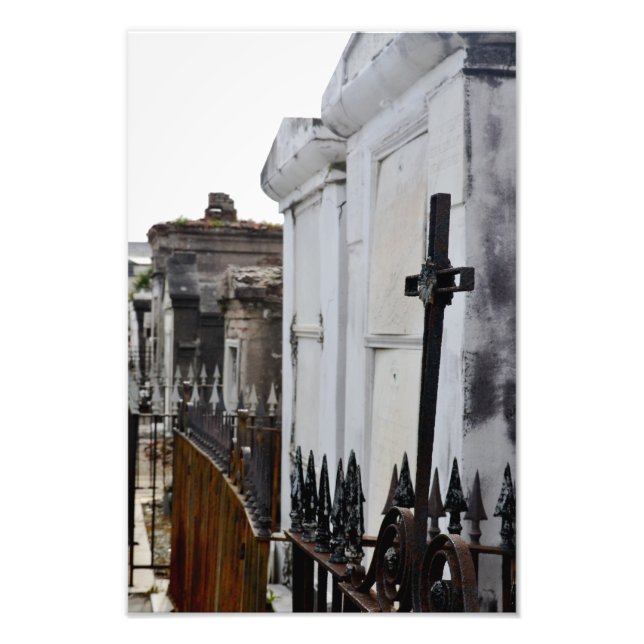 Foto Celebrar la vida (Frente)