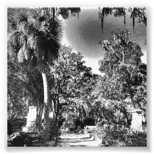 Foto Cementerio colonial