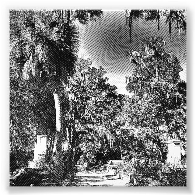 Foto Cementerio colonial (Frente)