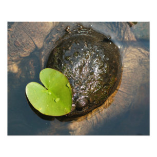 Foto Centrado