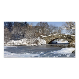 Foto Central Park del puente y del hielo de la nieve