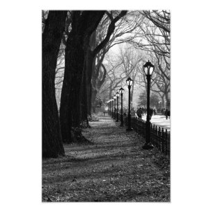Foto Central Park en la ciudad de Nueva York