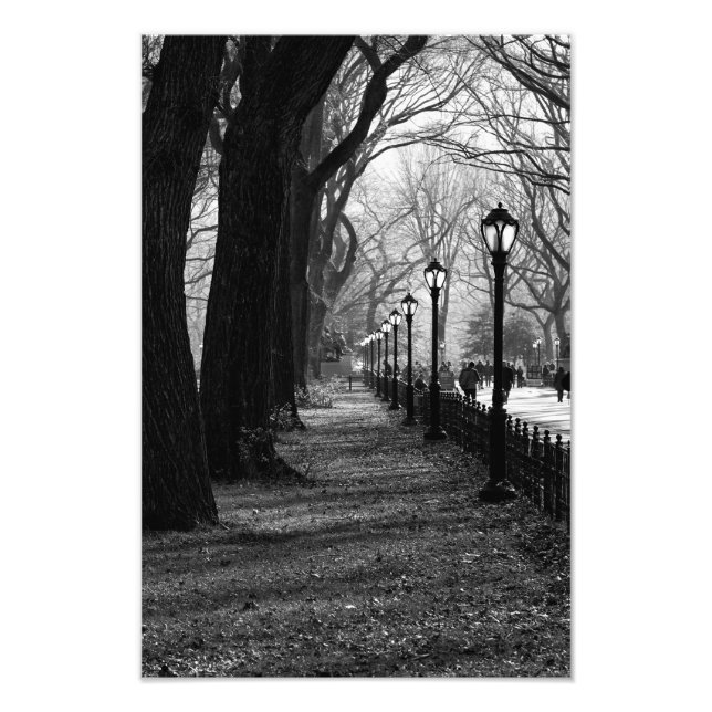 Foto Central Park en la ciudad de Nueva York (Frente)