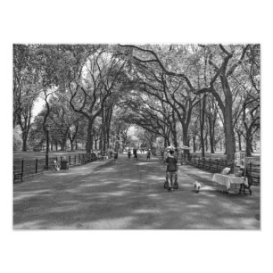 Foto Central Park literario del paseo, Nueva York
