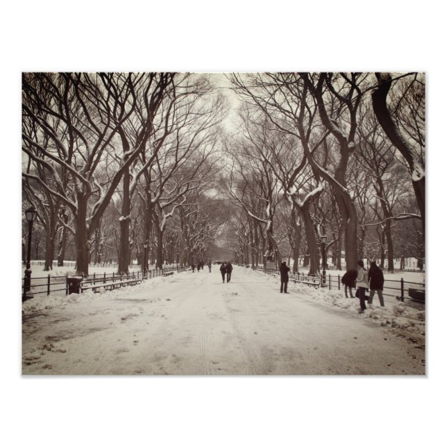 Foto Central Park Mall (Frente)