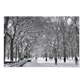 Foto Central Park Mall Winter Scene