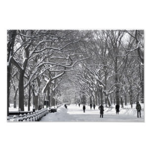 Foto Central Park Mall Winter Scene
