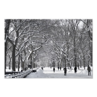 Foto Central Park Mall Winter Scene