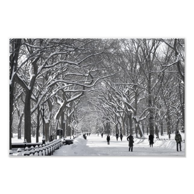 Foto Central Park Mall Winter Scene (Frente)