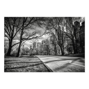Foto Central Park, New York City Photo Print