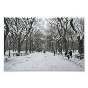 Foto Centro Comercial Central Park NY