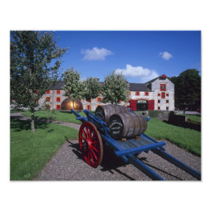 Foto Centro del Patrimonio del Whisky Jamesons, Midleto