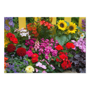 Foto Cerca de estacas amarillas con jardín de flores en