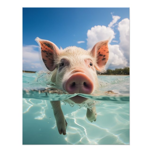 Foto Cerdo de baño de Bahamas (Frente)