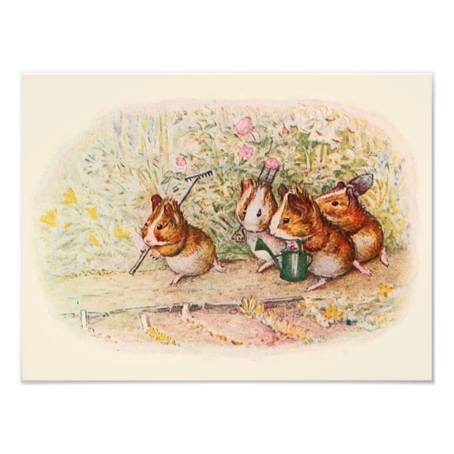 Foto Cerdos de Guinea y herramientas de jardín (Frente)