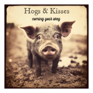 Foto Cerdos y Besos Arte Vintage Sepia de Cerdo