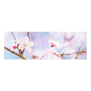 Foto Cerezo Japonés - Sakura en Flor